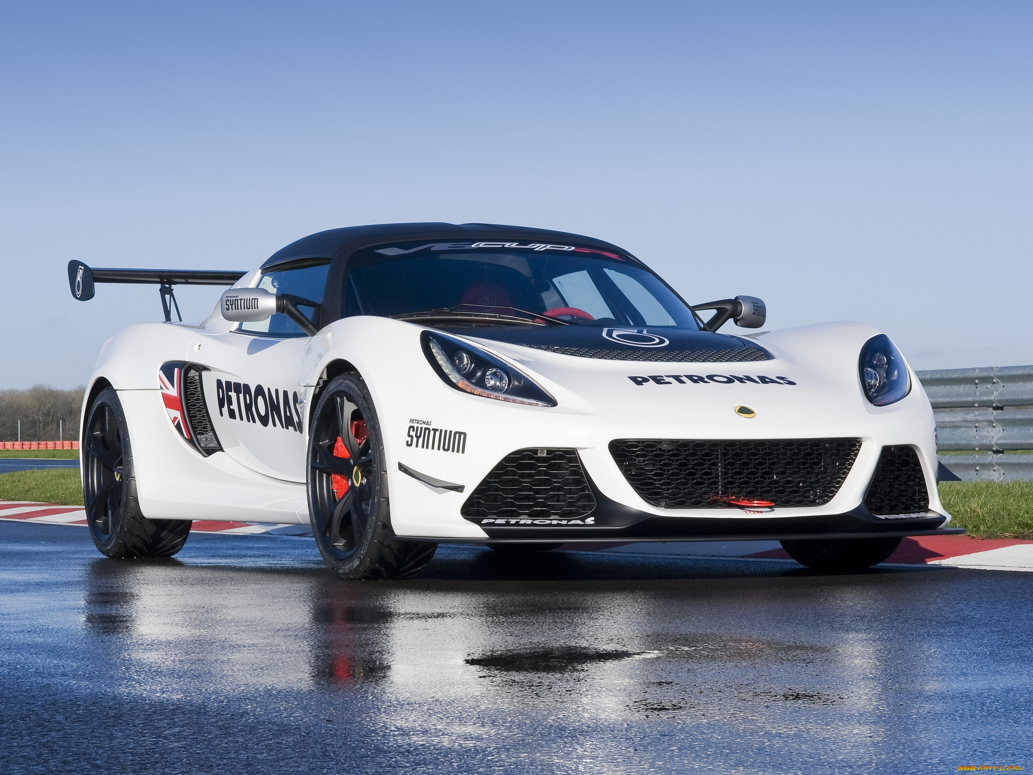 , lotus, 